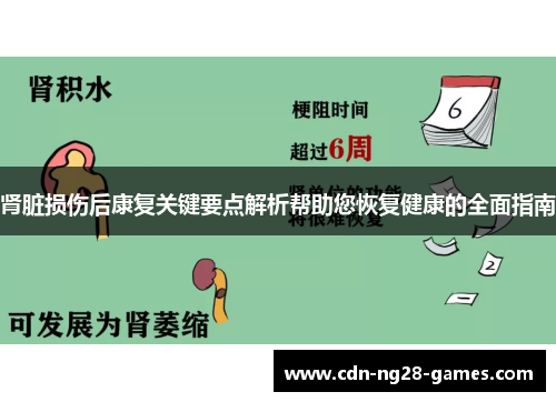 肾脏损伤后康复关键要点解析帮助您恢复健康的全面指南