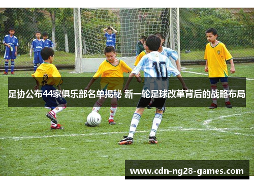 足协公布44家俱乐部名单揭秘 新一轮足球改革背后的战略布局